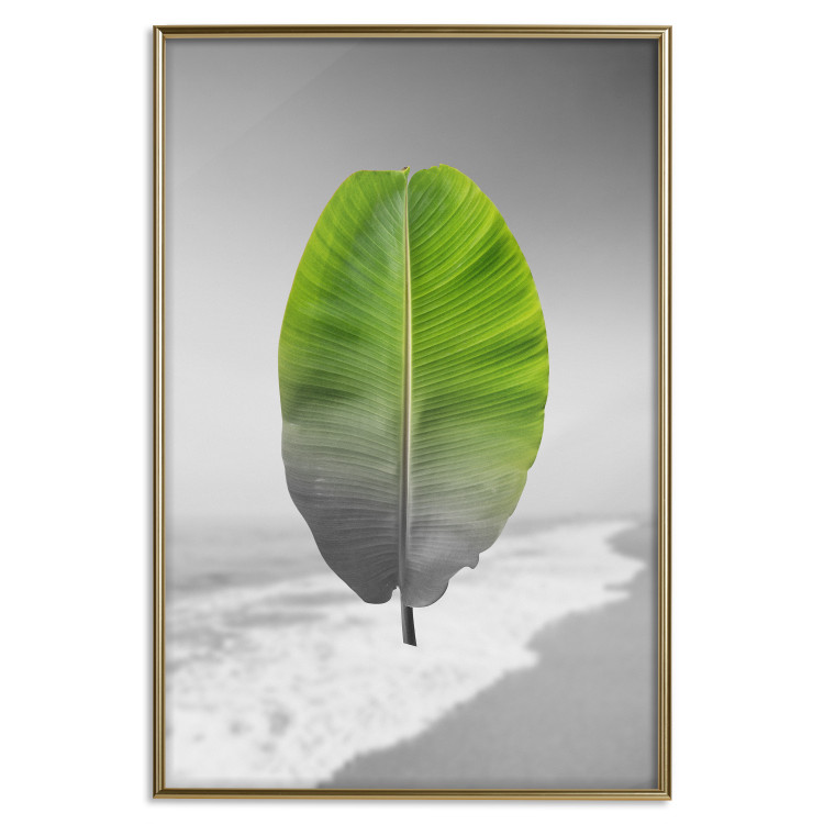 Poster Banana Leaf - Green tropical plant on a gray landscape 114394 additionalImage 20