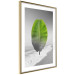 Poster Banana Leaf - Green tropical plant on a gray landscape 114394 additionalThumb 6