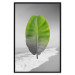 Poster Banana Leaf - Green tropical plant on a gray landscape 114394 additionalThumb 24