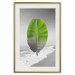 Poster Banana Leaf - Green tropical plant on a gray landscape 114394 additionalThumb 19