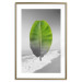 Poster Banana Leaf - Green tropical plant on a gray landscape 114394 additionalThumb 16