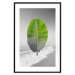 Poster Banana Leaf - Green tropical plant on a gray landscape 114394 additionalThumb 15