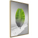 Poster Banana Leaf - Green tropical plant on a gray landscape 114394 additionalThumb 12