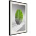 Poster Banana Leaf - Green tropical plant on a gray landscape 114394 additionalThumb 3