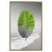 Poster Banana Leaf - Green tropical plant on a gray landscape 114394 additionalThumb 20