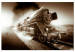 Canvas Art Print Train in the Whirlwind of Speed (1-part) - Vehicle in Sepia and Smoke 116394