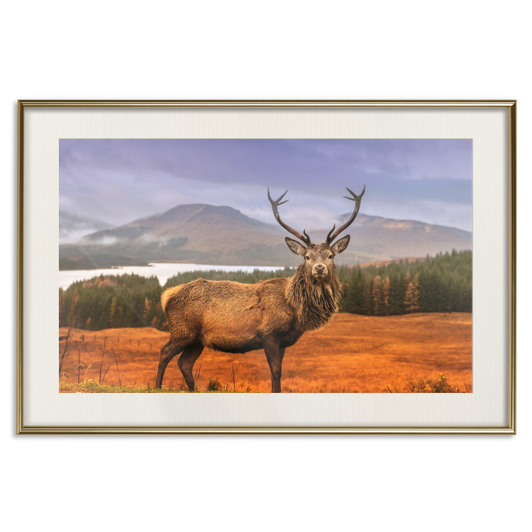 Poster Scottish Stag - majestic deer against forest landscape and mountain range 117294 additionalImage 19