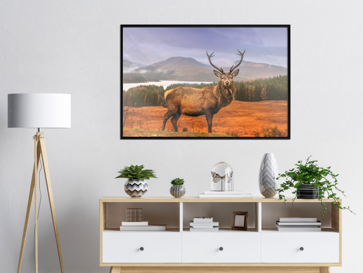 Poster Scottish Stag - majestic deer against forest landscape and mountain range 117294 additionalImage 5
