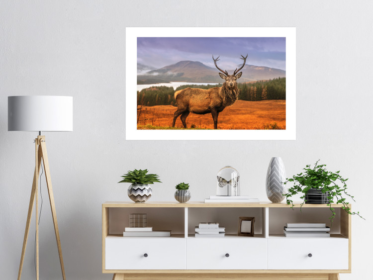 Poster Scottish Stag - majestic deer against forest landscape and mountain range 117294 additionalImage 4