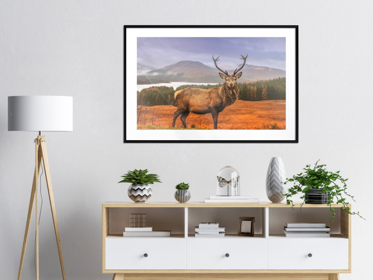 Poster Scottish Stag - majestic deer against forest landscape and mountain range 117294 additionalImage 6