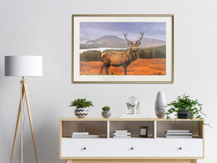 Poster Scottish Stag - majestic deer against forest landscape and mountain range 117294 additionalImage 21