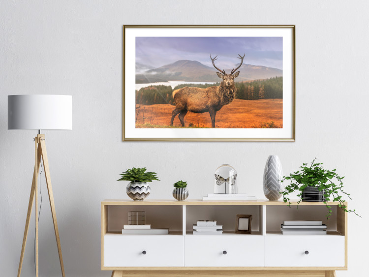 Poster Scottish Stag - majestic deer against forest landscape and mountain range 117294 additionalImage 15