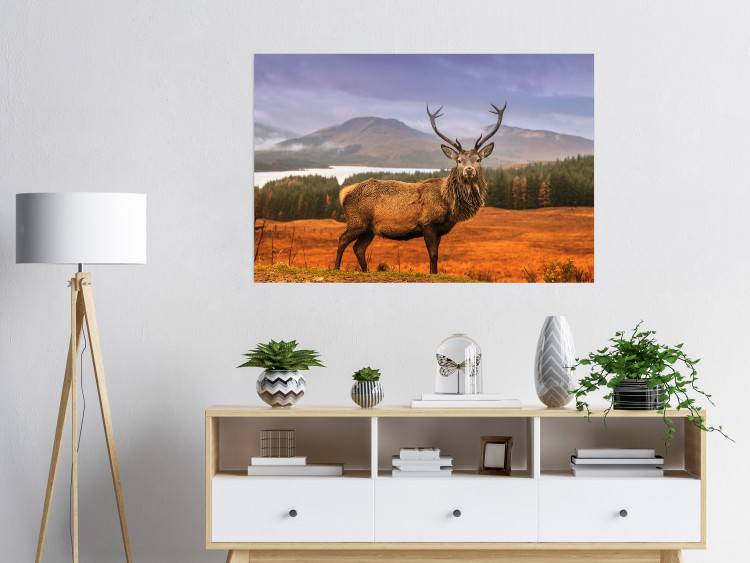 Poster Scottish Stag - majestic deer against forest landscape and mountain range 117294 additionalImage 23