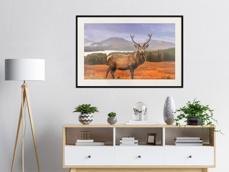 Poster Scottish Stag - majestic deer against forest landscape and mountain range 117294 additionalImage 22