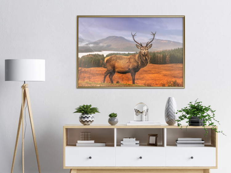 Poster Scottish Stag - majestic deer against forest landscape and mountain range 117294 additionalImage 7