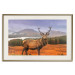 Poster Scottish Stag - majestic deer against forest landscape and mountain range 117294 additionalThumb 19
