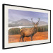 Poster Scottish Stag - majestic deer against forest landscape and mountain range 117294 additionalThumb 3