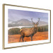 Poster Scottish Stag - majestic deer against forest landscape and mountain range 117294 additionalThumb 8