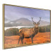 Poster Scottish Stag - majestic deer against forest landscape and mountain range 117294 additionalThumb 14