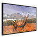 Poster Scottish Stag - majestic deer against forest landscape and mountain range 117294 additionalThumb 12