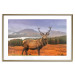Poster Scottish Stag - majestic deer against forest landscape and mountain range 117294 additionalThumb 16