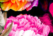 Wall Poster Summer Garden - colorful composition with peony flowers on a black background 117994 additionalThumb 11