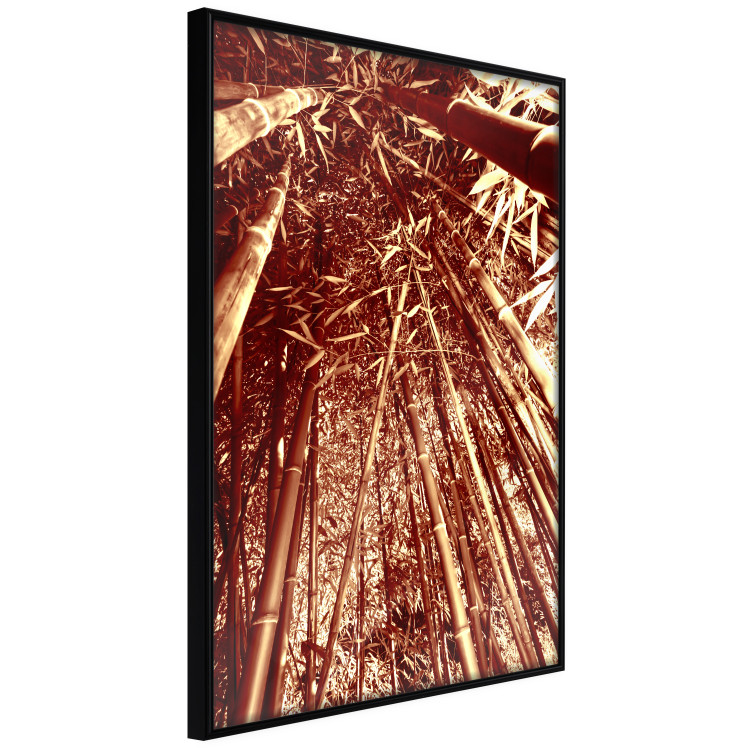 Wall Poster Tall Bamboo - natural bamboo trees in brown light 123894 additionalImage 12