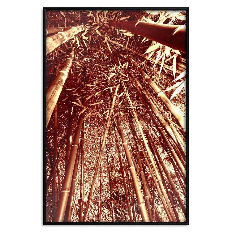 Wall Poster Tall Bamboo - natural bamboo trees in brown light 123894 additionalImage 18