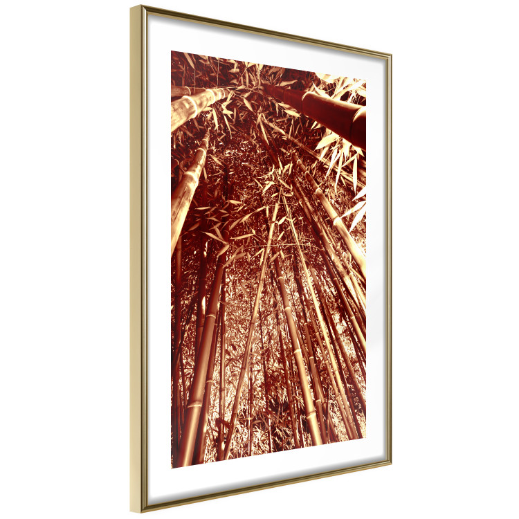 Wall Poster Tall Bamboo - natural bamboo trees in brown light 123894 additionalImage 8