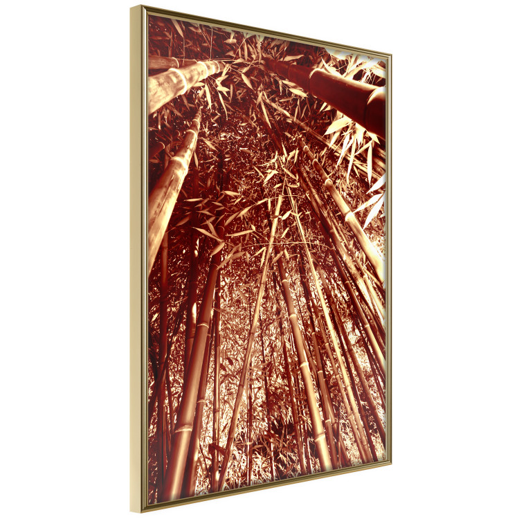 Wall Poster Tall Bamboo - natural bamboo trees in brown light 123894 additionalImage 14