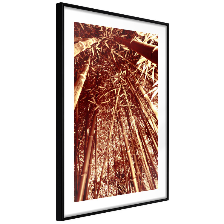 Wall Poster Tall Bamboo - natural bamboo trees in brown light 123894 additionalImage 11