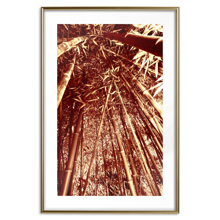 Wall Poster Tall Bamboo - natural bamboo trees in brown light 123894 additionalImage 14