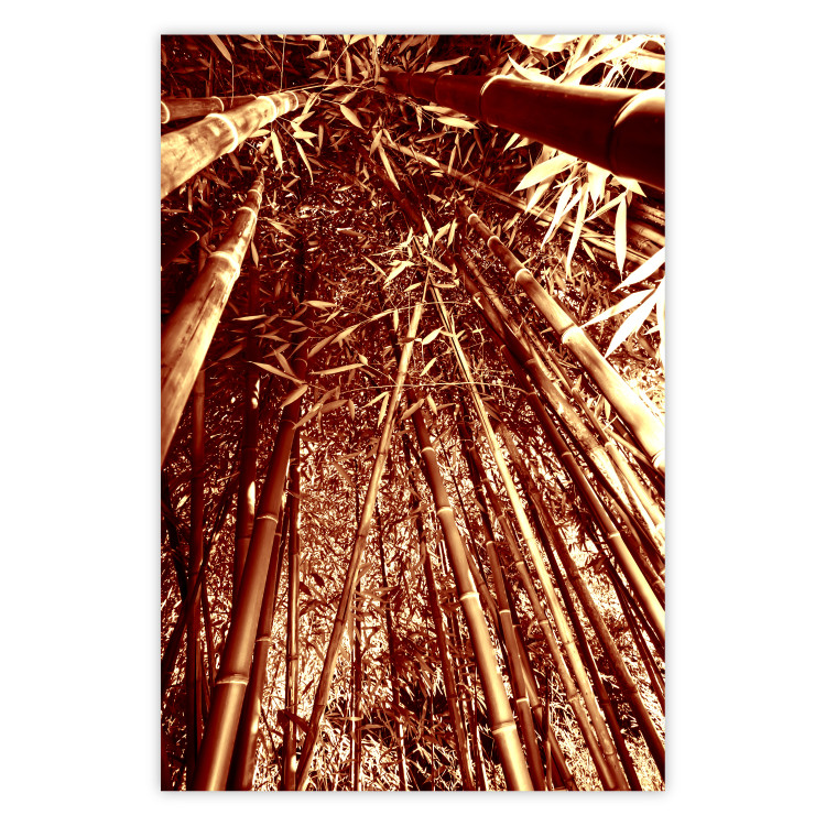 Wall Poster Tall Bamboo - natural bamboo trees in brown light 123894