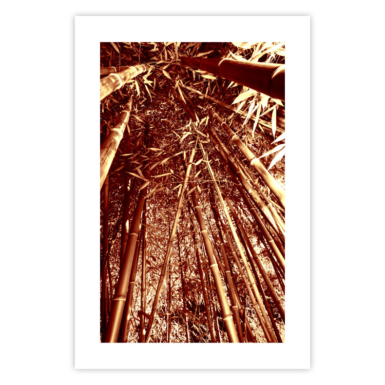 Wall Poster Tall Bamboo - natural bamboo trees in brown light 123894 additionalImage 19