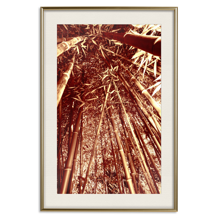 Wall Poster Tall Bamboo - natural bamboo trees in brown light 123894 additionalImage 19