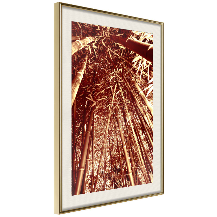 Wall Poster Tall Bamboo - natural bamboo trees in brown light 123894 additionalImage 2