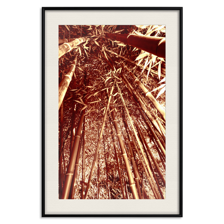 Wall Poster Tall Bamboo - natural bamboo trees in brown light 123894 additionalImage 18