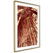 Wall Poster Tall Bamboo - natural bamboo trees in brown light 123894 additionalThumb 8