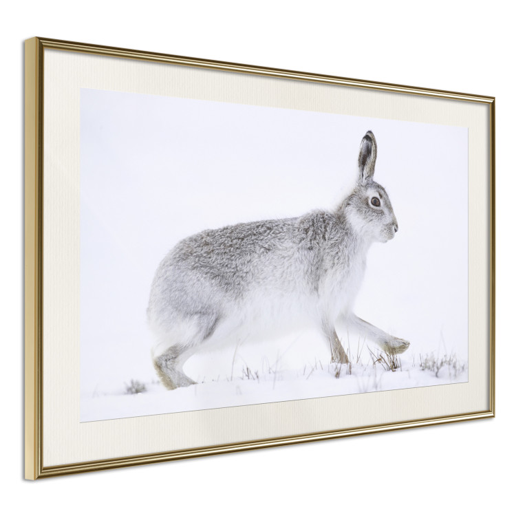 Wall Poster Rabbit 123994 additionalImage 2