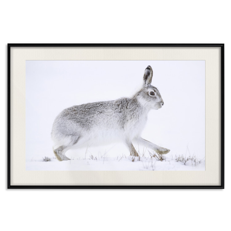 Wall Poster Rabbit 123994 additionalImage 18