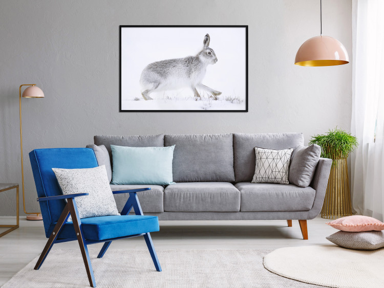 Wall Poster Rabbit 123994 additionalImage 5