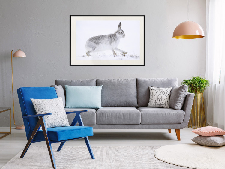 Wall Poster Rabbit 123994 additionalImage 22