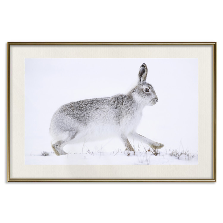 Wall Poster Rabbit 123994 additionalImage 19