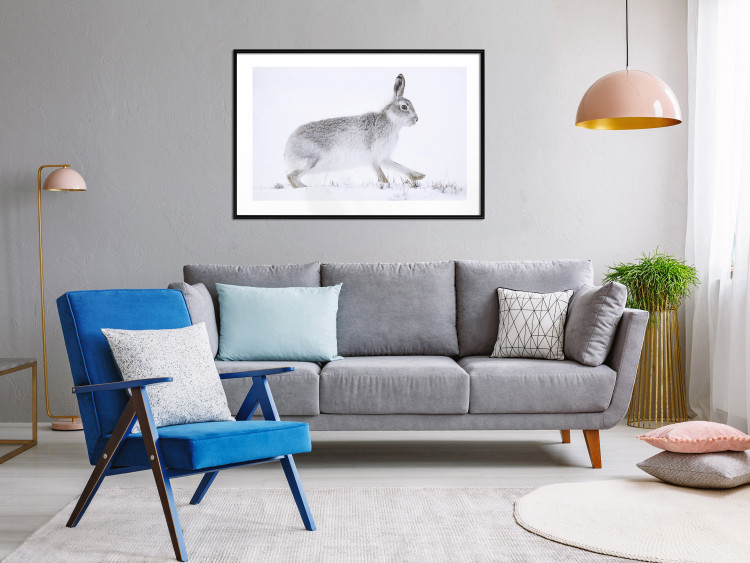 Wall Poster Rabbit 123994 additionalImage 6