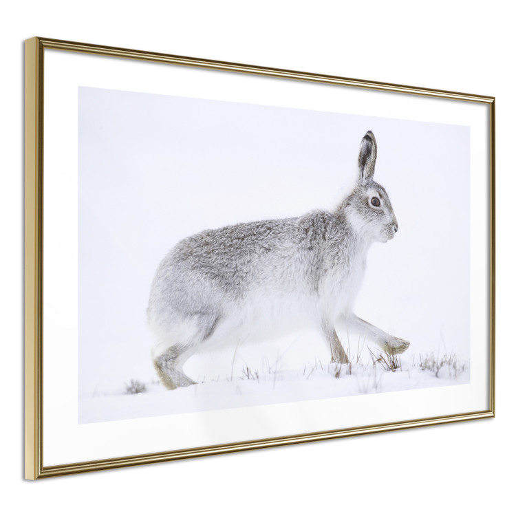 Wall Poster Rabbit 123994 additionalImage 8
