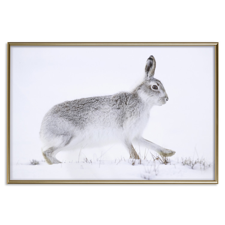 Wall Poster Rabbit 123994 additionalImage 20