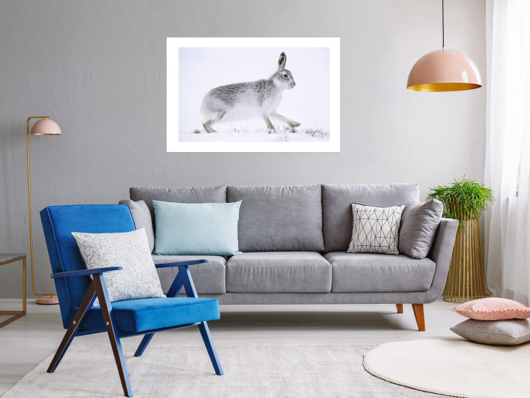 Wall Poster Rabbit 123994 additionalImage 4