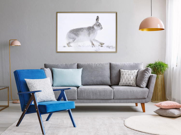 Wall Poster Rabbit 123994 additionalImage 7