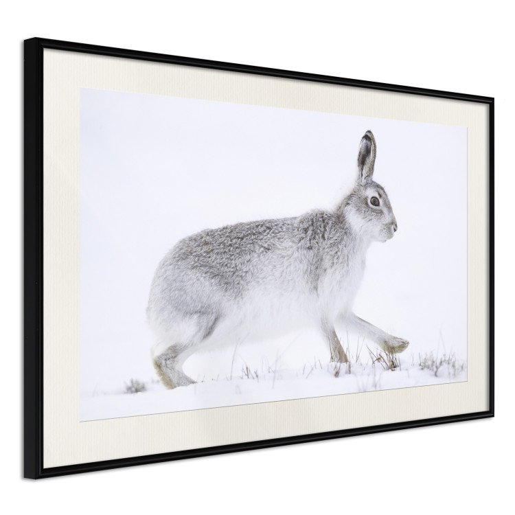 Wall Poster Rabbit 123994 additionalImage 3