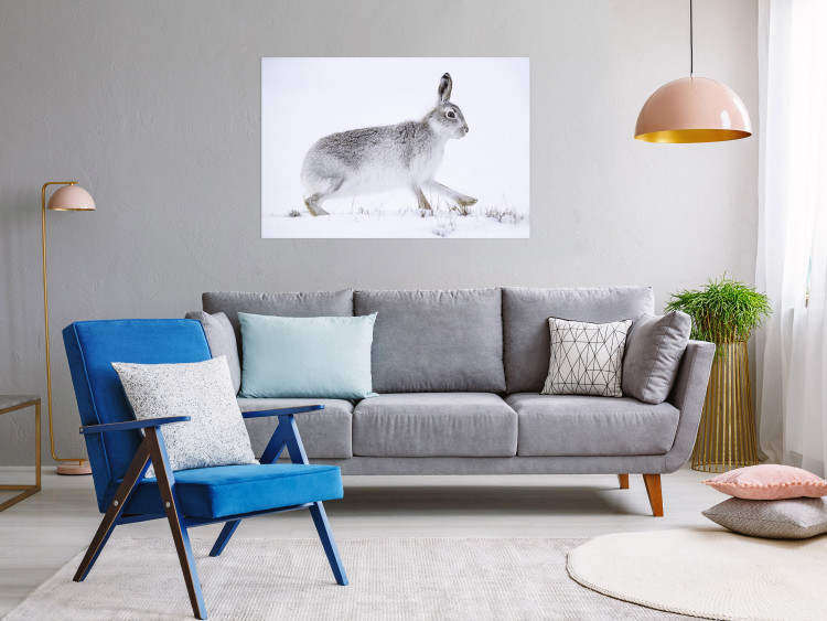 Wall Poster Rabbit 123994 additionalImage 23